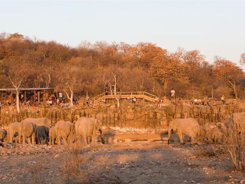 Halali Camp 호텔 Etosha 외부 사진